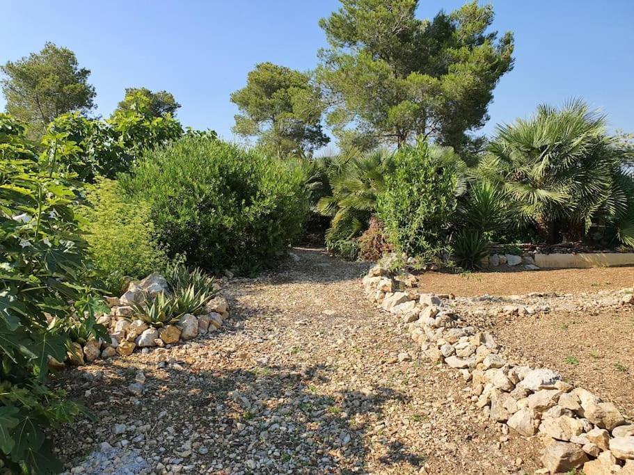 Le Petit Paradis Olivella Екстериор снимка